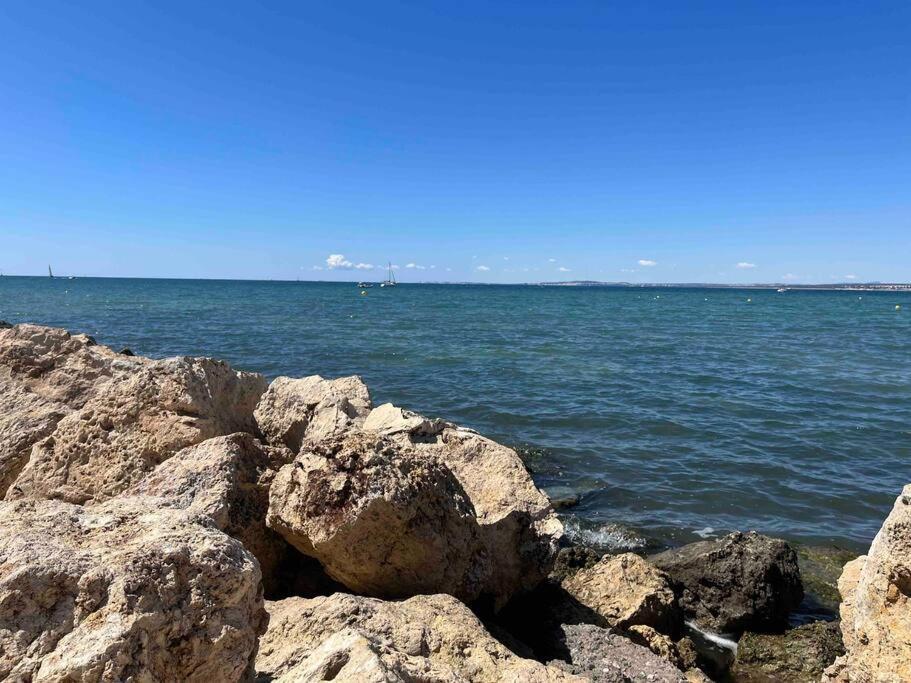 Apartamento Con Preciosas Vistas A Pie De Playa Santa Pola Eksteriør billede